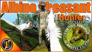 HUGE Insanely Rare ALBINO PHEASANT in theHunter Classic!