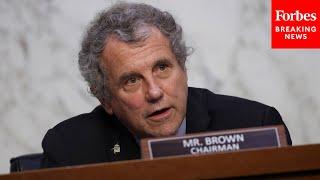 Sherrod Brown Raises Questions About Whether Stablecoins Are Actually Useful