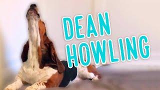 Dean's Top 5 howling moments ever!