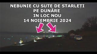 NEBUNIE cu SUTE DE STARLEȚI Pe Dunare in LOC NOU -14 Noiembrie 2024 cu BABALOI Frumosi de Dunare