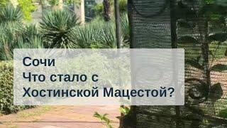 СОЧИ СЕГОДНЯ / ХОСТИНСКАЯ Мацеста