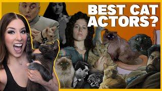 Coolest Cats in Cinema: Feline Stars That Stole the Show