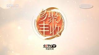 CCTV17 Chinese Farmers Harvest Festival Special Idents/Promo 2022.9.23