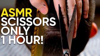 ASMR BARBER  Scissors Only - 1 Hour! No Talking! Part 1