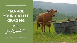 How to Manage Your Cattle Grazing Course with Joel Salatin (Teaser Trailer #4)