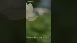 لامية ابن الوردي.