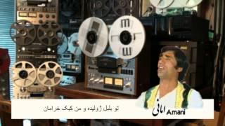 تو بلبل ژولیده و من کبک خرامان