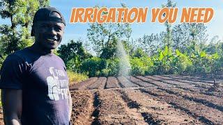 Best irrigation system. Things to know when choosing irrigation method