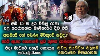 Neranjan wijayarathna | elephant |  රාජ ඇතා ලේ පෙරාගෙන මහනුවර නගරය මැදින් මාලිගාවට තනිවම දිව එයි