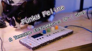 Funky Feline - Teenage Engineering OP-1