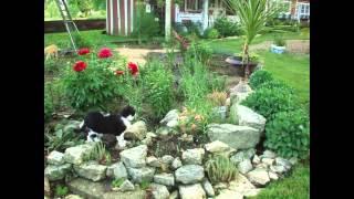 Rock Garden Ideas