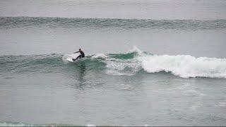 Surfing with dolphins - Pacific Beach, San Diego - Adventures of Sofia & Charlie