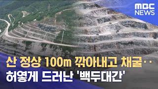 '산 정상 100미터 뚝' 백두대간보호법 20년 됐지만 '개발·훼손에 신음' (2025.06.19/뉴스데스크/MBC강원영동)