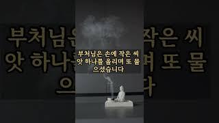 왜 어떤 사람은 운이 따르고, 나는 그렇지 않을까? 이 질문을 품고 살아온 당신에게 전하는,부처님의 깊은 비유 한 편|철학의 정원 #명언 #부자의삶 #가치관
