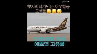 쳇지피티가만든 재우항공 도색 # 비행기