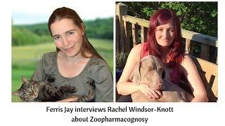 Let's talk Zoophamacognosy with Rachel Windsor-Knott, by Ferris Jay
