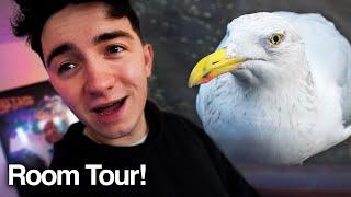 My Pet Seagulls Office... (Feeding Steven Room Tour!)