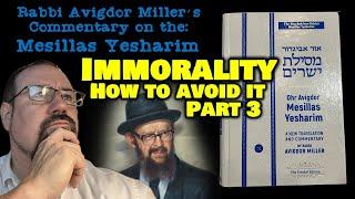 Mesillat Yesharim with Rabbi Avigdor Miller - Immorality (Part 3)