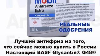 Лучший антифриз из того, что сейчас можно купить в России Настоящий BASF Glysantin® G48® #anton_mygt