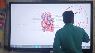 study n Learn 65" Interactive Flat Panel