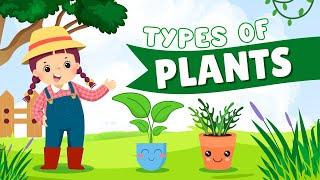 Kids Educational Videos | Kindergarten and Elementary ENGLISH Math SCIENCE |  Learn Types of Plants!