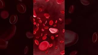 What does Vitamin B6 actually do?