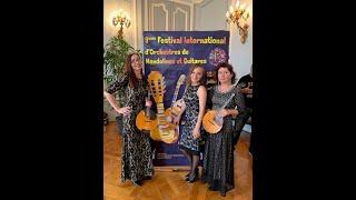 Performers Trio Dom RA Concert at the City Hall, Remiremont, France