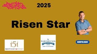 Risen Star Preview 2025 Fair Grounds