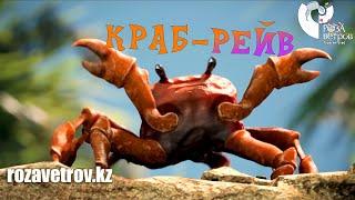 Краб-рейв!