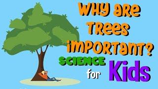 Why are Trees Important? | Science for Kids