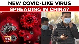 Is HMPV The New Covid? New Virus Reportedly Spreading In China Raises Concerns | India Today