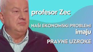 Naši ekonomski problemi imaju pravne uzroke - profesor Zec