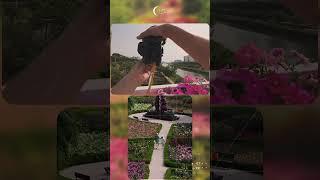 십이월의 사진촬영 [ 광진장미정원 ] #사진 #POV #장미