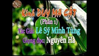 Giảng Giải Kinh Duy Ma Cật Phần 1 - Lê Sỹ Minh Tùng