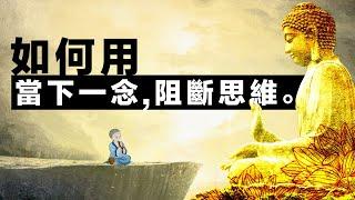 如何使用「阻斷一切思維」的方法來控製情緒。重大打擊 | 眼前此刻 | 當下一念 | 冷靜 | 應對逆境