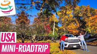 Tesla oder doch Ford? Schwere Wahl auf US Roadtrip nach New York | YourTravel.TV