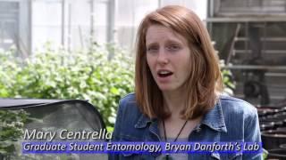 Cornell Entomology Students