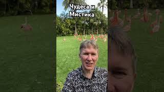 Чудеса и Мистика. #мистика #чудеса #реки