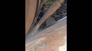 How to stop the train in rainy season? #shortvideos #facts #amazingfacts