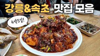 강원도 4박5일 맛집 여행 코스와 경비 총정리 (속초, 강릉)