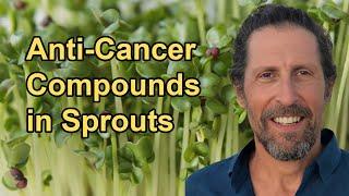 Medicinal Properties of Sprouts, Particularly Their Anti-cancer Compounds with Doug Evans