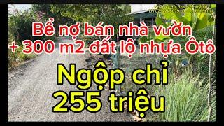 Đá gà bể nợ bán gấp nhà vườn chỉ 255 triệu, ngộp quá ngộp LH 0792246079, ko thương lượng